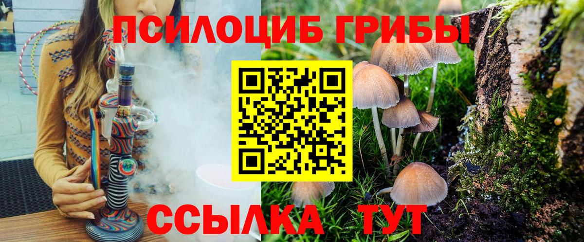 Псилоцибиновые грибы Psilocybine cubensis Лесосибирск