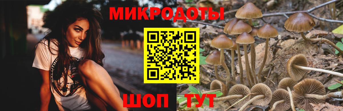Галлюциногенные грибы ЛСД  Галлюциногенные грибы мицелий  Лесосибирск  Вход с VPN 